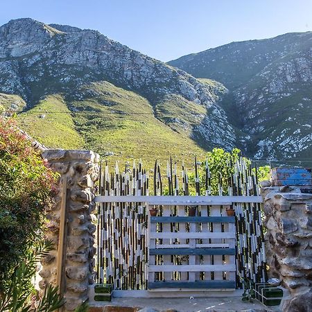 Hotel The Trailhouse Bettyʼs Bay Exteriér fotografie